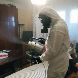 Дезинфекция от клопов в Вихоревке