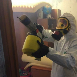 Уничтожение клопов в квартире. Вихоревка